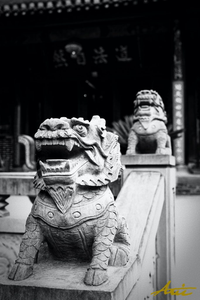 9793 (1)_110511_Chinese Temples China Street Photography by Aric Berger Photographic Panda