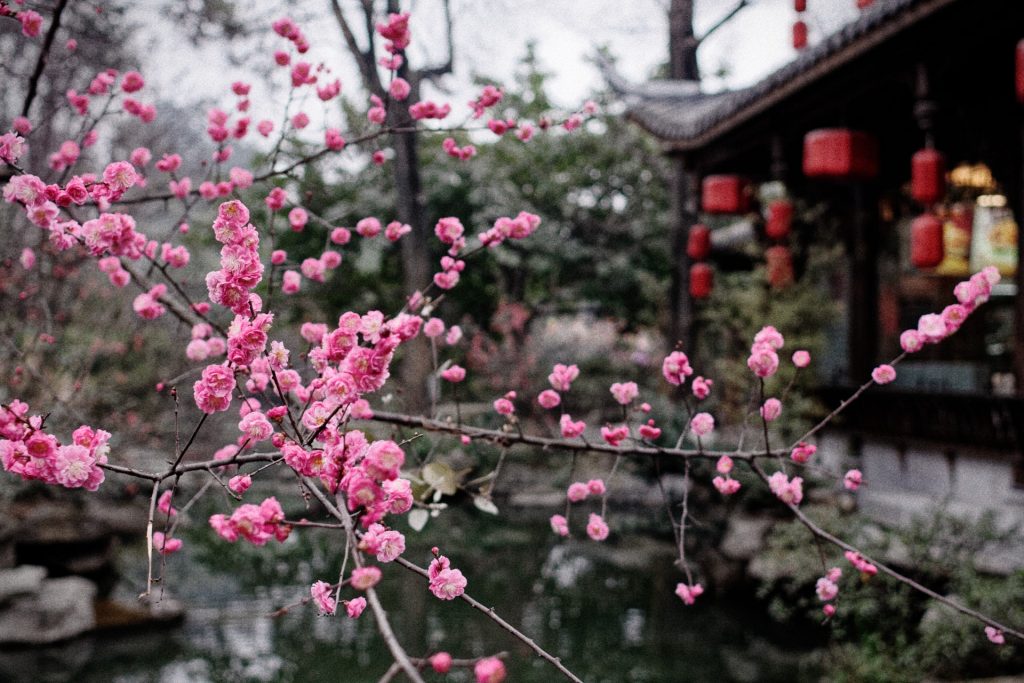 As Seen in China Street Photography by Aric Berger Photographic Panda7474_100205